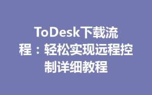 ToDesk下载流程：轻松实现远程控制详细教程-ToDesk官网 - ToDesk下载