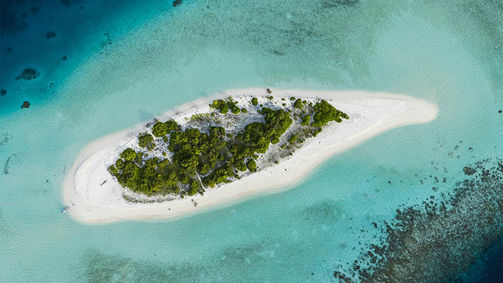 无法访问ToDesk官网?五大镜像源确保下载无忧 api img 696804c796ecc