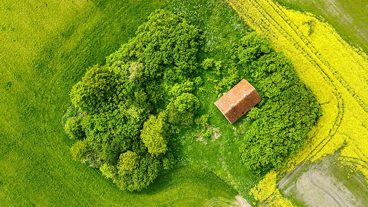 api img 696a3451ec0c2