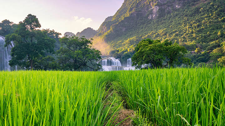 如何下载ToDesk旧版?官方指南解密 api img 696aa367bb8e2