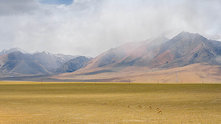 api img 696b0e465771c