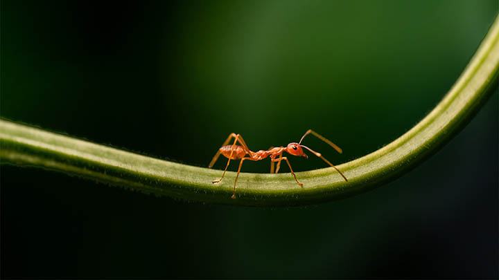 ToDesk下载终极指南:一键轻松获取与使用2025年全解析 ToDesk下载终极指南:一键轻松获取与使用2025年全解析 二