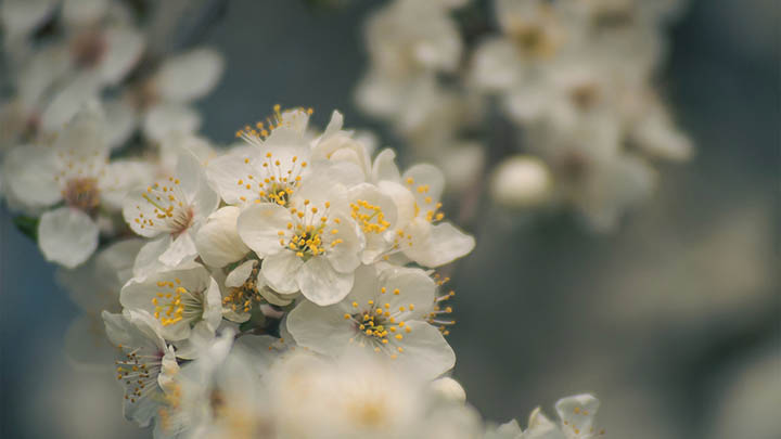 ToDesk下载是否安全?官方渠道指南 ToDesk下载是否安全?官方渠道指南 二