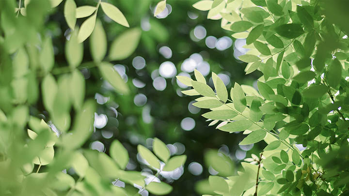 MacToDesk下载：快速上手3个步骤 二