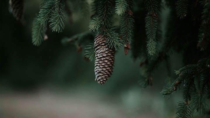 ToDesk下载问题修复:远程连接卡顿/无法启动/安装失败全面解决方案 ToDesk下载问题修复:远程连接卡顿/无法启动/安装失败全面解决方案 二