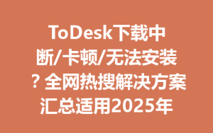 ToDesk下载中断/卡顿/无法安装？全网热搜解决方案汇总适用2025年最新版-ToDesk官网 - ToDesk下载
