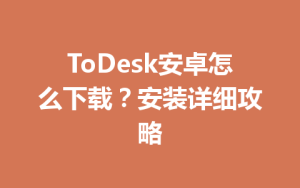 ToDesk安卓怎么下载？安装详细攻略-ToDesk官网 - ToDesk下载