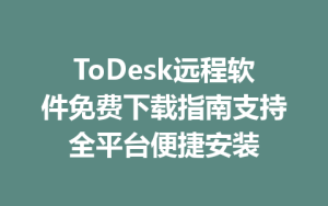 ToDesk远程软件免费下载指南支持全平台便捷安装-ToDesk官网 - ToDesk下载