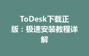 ToDesk下载正版：极速安装教程详解-ToDesk官网 - ToDesk下载