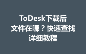 ToDesk下载后文件在哪？快速查找详细教程-ToDesk官网 - ToDesk下载