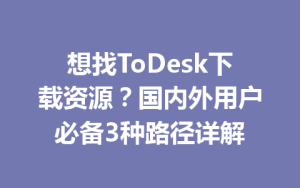 想找ToDesk下载资源？国内外用户必备3种路径详解-ToDesk官网 - ToDesk下载