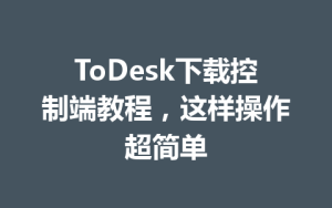 ToDesk下载控制端教程，这样操作超简单-ToDesk官网 - ToDesk下载