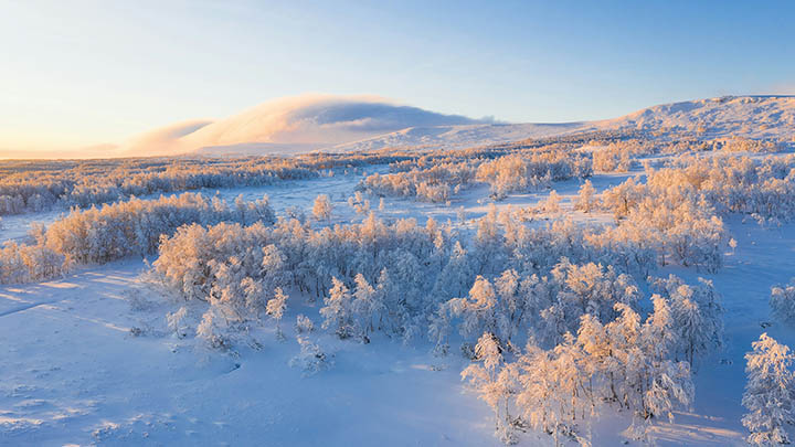 ToDesk下载怎样实现全平台兼容？完整教程解析 二