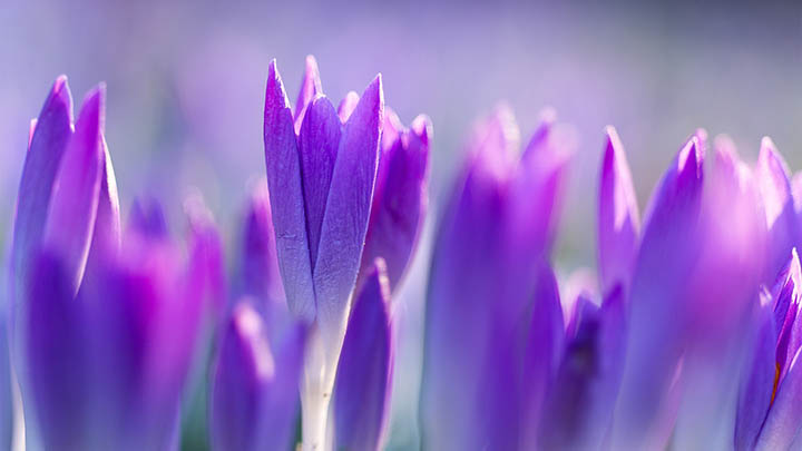 ToDesk下载Windows全流程解析,快速上手远程控制! ToDesk下载Windows全流程解析,快速上手远程控制! 二