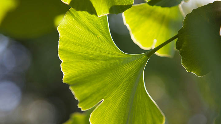 手机版ToDesk下载失败/闪退/速度慢全解决攻略 手机版ToDesk下载失败/闪退/速度慢全解决攻略 二