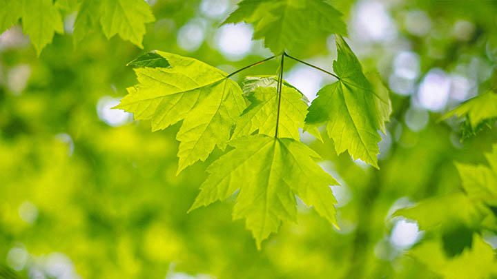 ToDesk下载是否安全？安装包优化解读 二