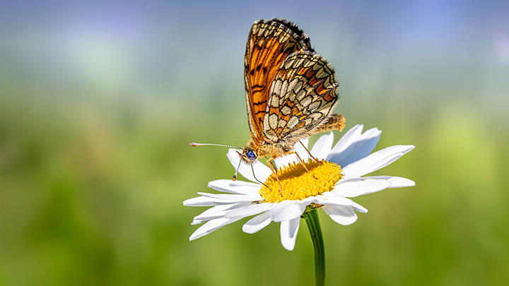 ToDesk下载1.2.7怎么操作？详细教程告诉你 二