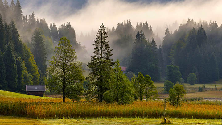 ToDesk下载官方电脑指南:快速上手教程与专业配置解读 ToDesk下载官方电脑指南:快速上手教程与专业配置解读 二