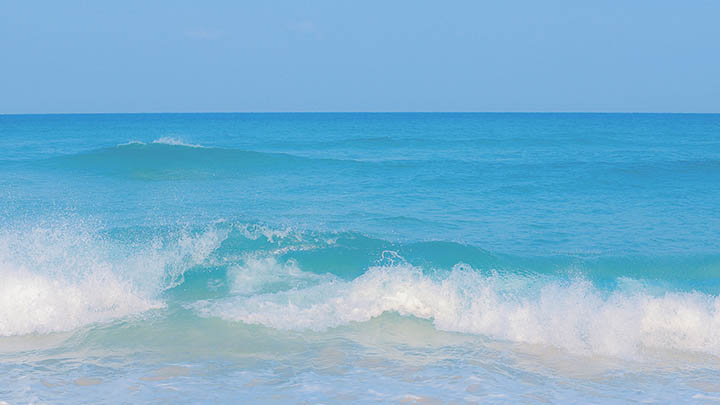 想找ToDesk下载资源?国内外用户必备3种路径详解 想找ToDesk下载资源?国内外用户必备3种路径详解 二