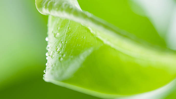 ToDesk下载有风险?揭秘3个安全操作方法 ToDesk下载有风险?揭秘3个安全操作方法 二