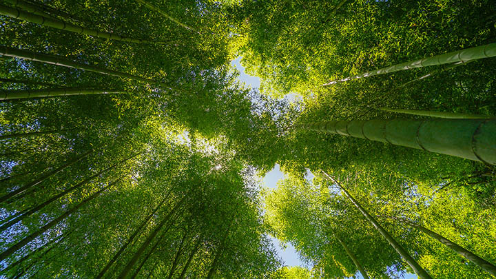 ToDesk下载远程电脑:超全安装教程 ToDesk下载远程电脑:超全安装教程 二