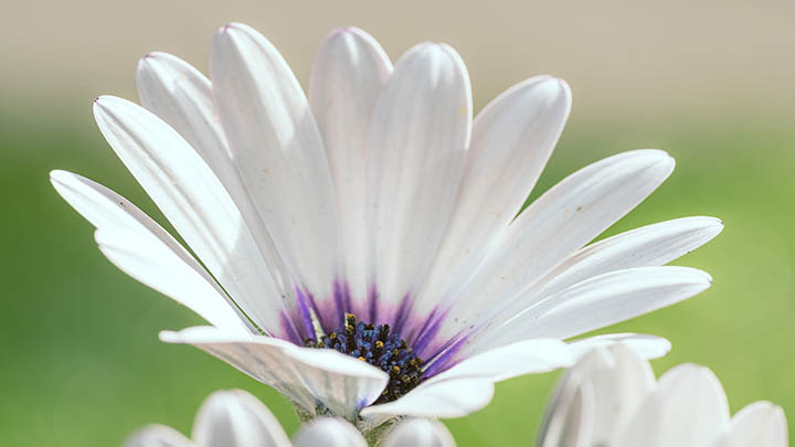 ToDesk下载后文件在哪？快速查找详细教程 二