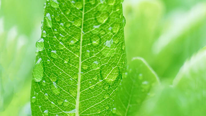 ToDesk下载为何无法进行？常见错误及解决指南 二