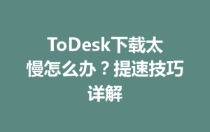 ToDesk下载太慢怎么办？提速技巧详解-ToDesk官网 - ToDesk下载